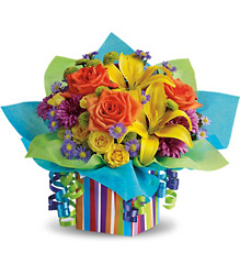 Rainbow Present Cottage Florist Lakeland Fl 33813 Premium Flowers lakeland